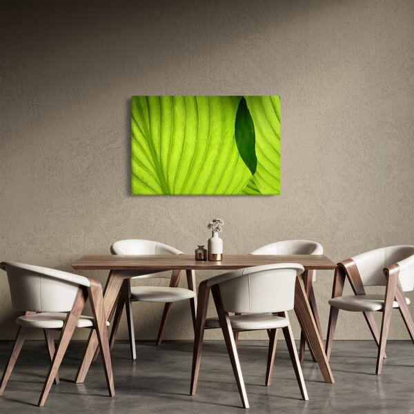 Slika - Detalj zelenog lista (90x60 cm)