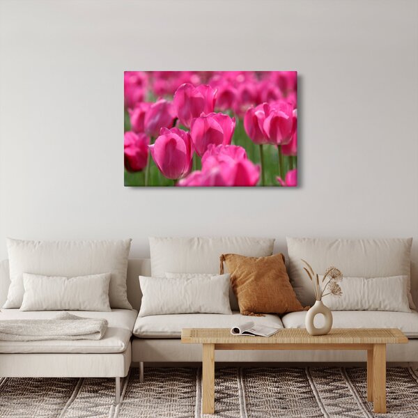 Slika - Ružičasti tulipani (90x60 cm)