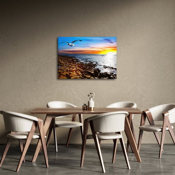 Slika - Galeb leti iznad obale (70x50 cm)
