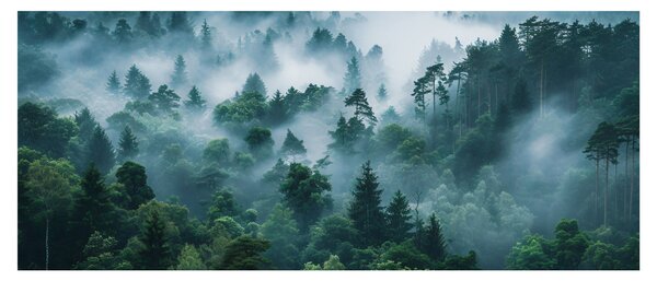 Slika - Šuma u magli (120x50 cm)