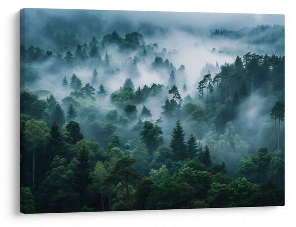 Slika - Šuma u magli (70x50 cm)