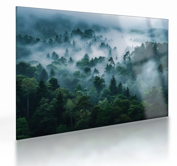Staklena slika - Šuma u magli (70x50 cm)