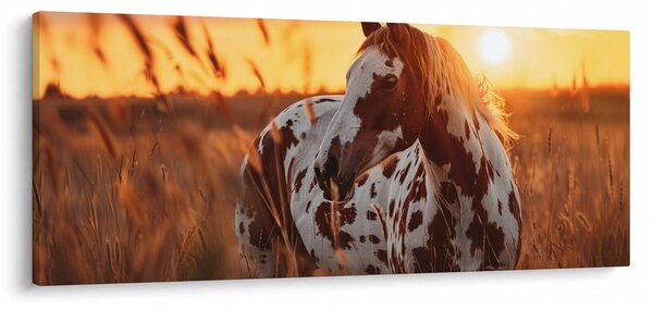 Slika - Konj pri zalasku sunca (120x50 cm)