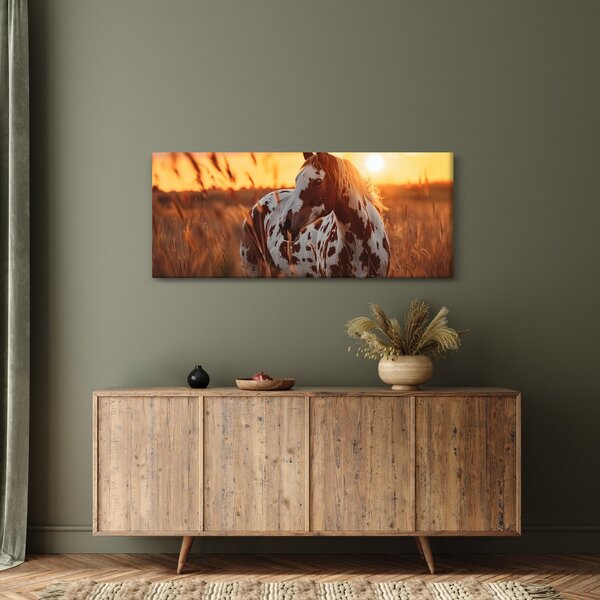 Slika - Konj pri zalasku sunca (120x50 cm)