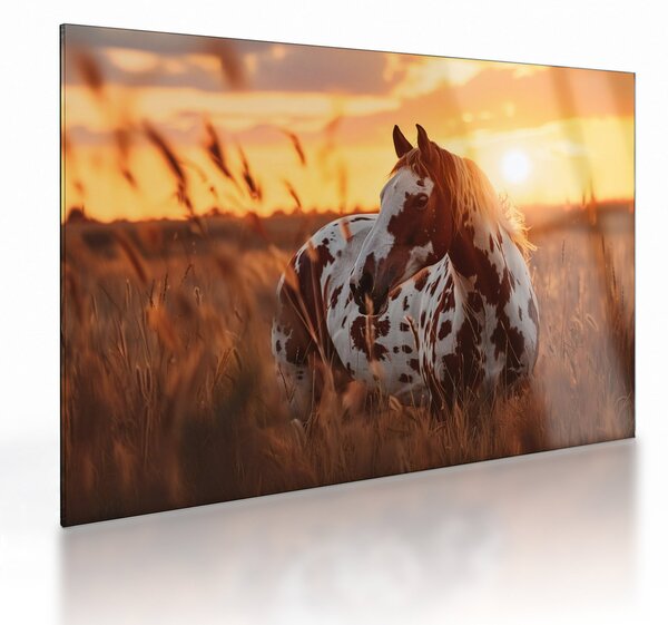 Staklena slika - Konj pri zalasku sunca (70x50 cm)