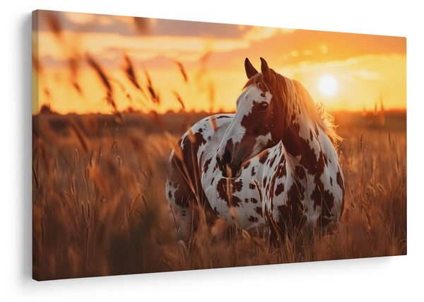 Slika - Konj pri zalasku sunca (90x60 cm)