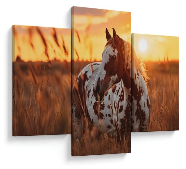 Slika - Konj pri zalasku sunca (90x60 cm)