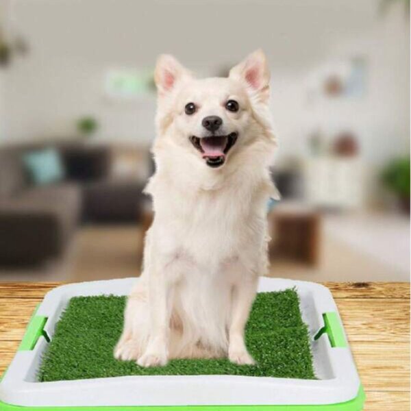 WC ili Toalet za pse Green Trainer