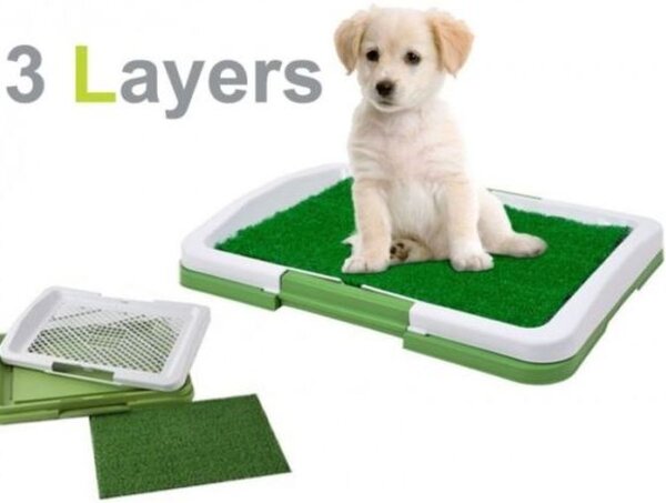 WC ili Toalet za pse Green Trainer