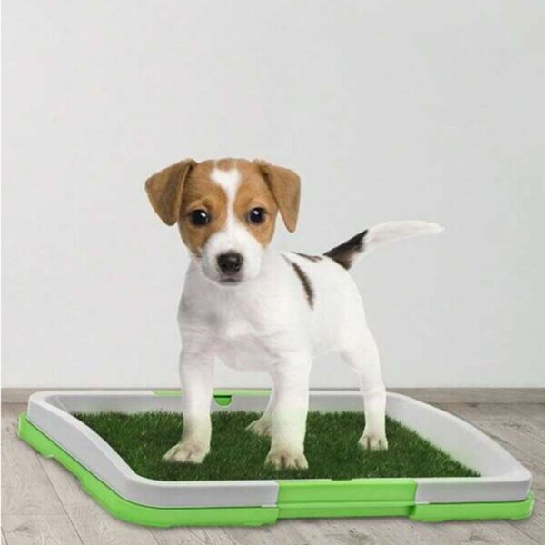 WC ili Toalet za pse Green Trainer