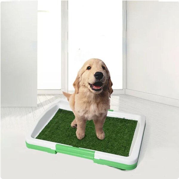 WC ili Toalet za pse Green Trainer
