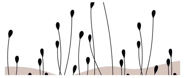 Slika - Grafička livada N⁰1 (120x50 cm)