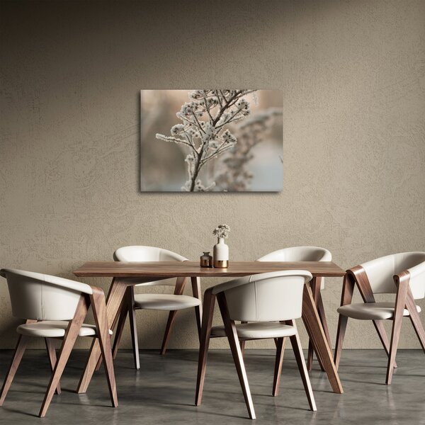 Slika - Biljka u mraz (70x50 cm)