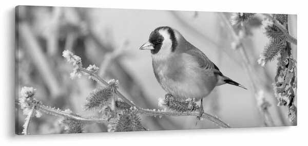 Slika - Ptica zimi (120x50 cm)