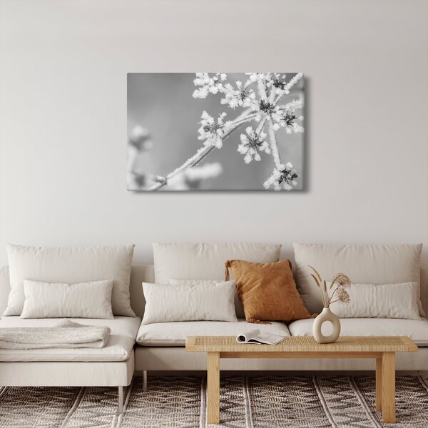 Slika - Smrznuta biljka (90x60 cm)