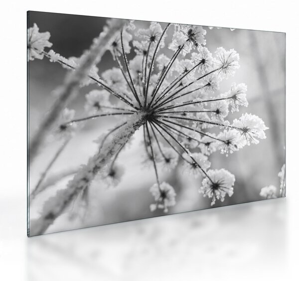 Staklena slika - Cvijet zimi (70x50 cm)