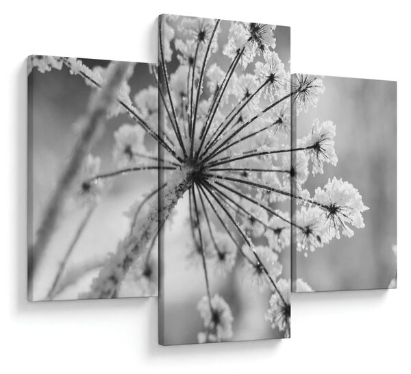 Slika - Cvijet zimi (90x60 cm)