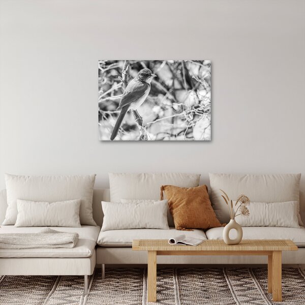 Slika - Plava ptica zimi (70x50 cm)