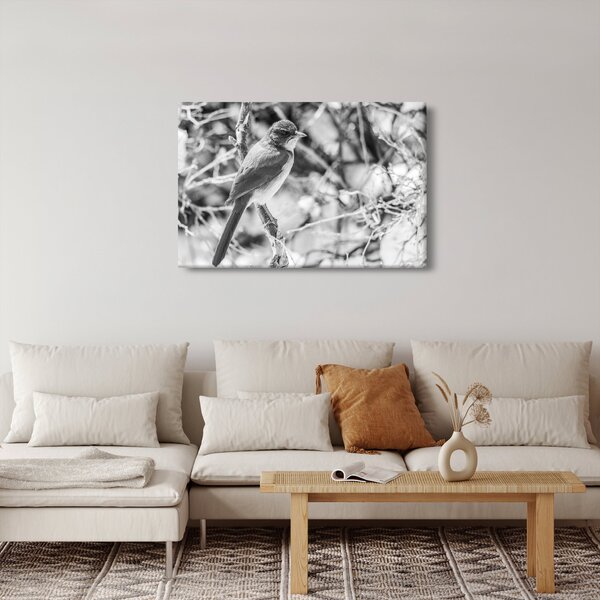 Slika - Plava ptica zimi (90x60 cm)