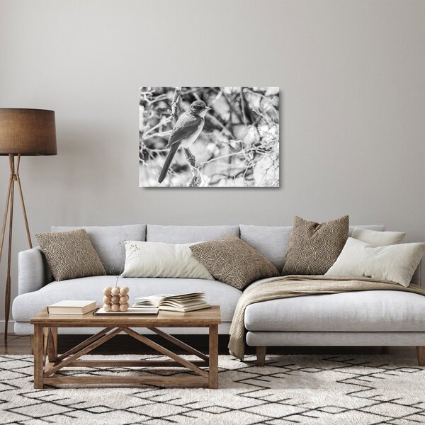 Staklena slika - Plava ptica zimi (70x50 cm)