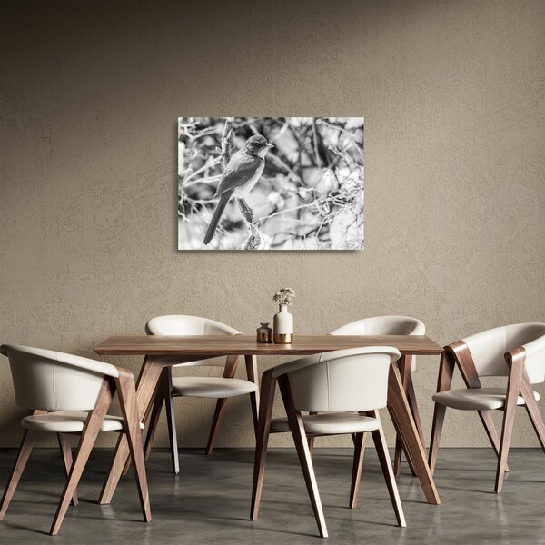 Staklena slika - Plava ptica zimi (70x50 cm)