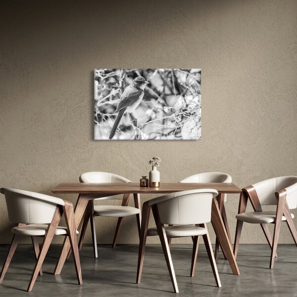 Slika - Plava ptica zimi (90x60 cm)