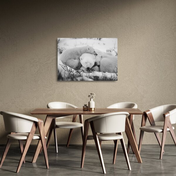 Staklena slika - Polarni medvjedi (70x50 cm)