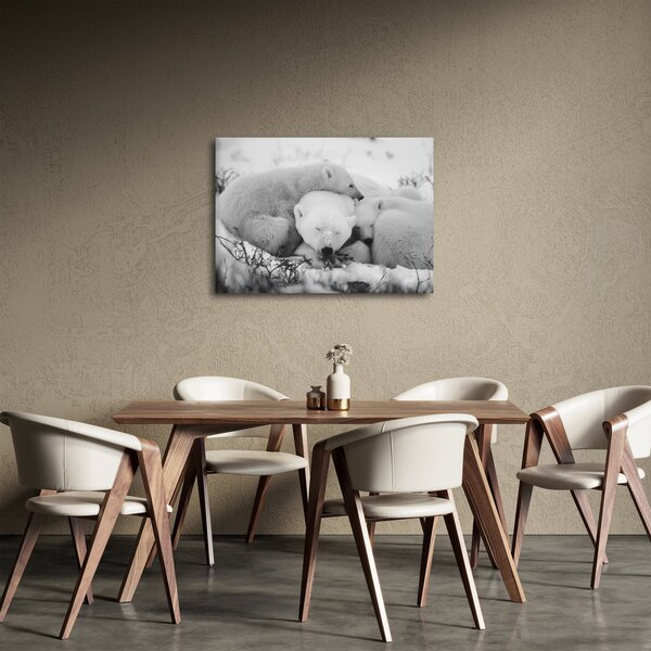 Slika - Polarni medvjedi (70x50 cm)