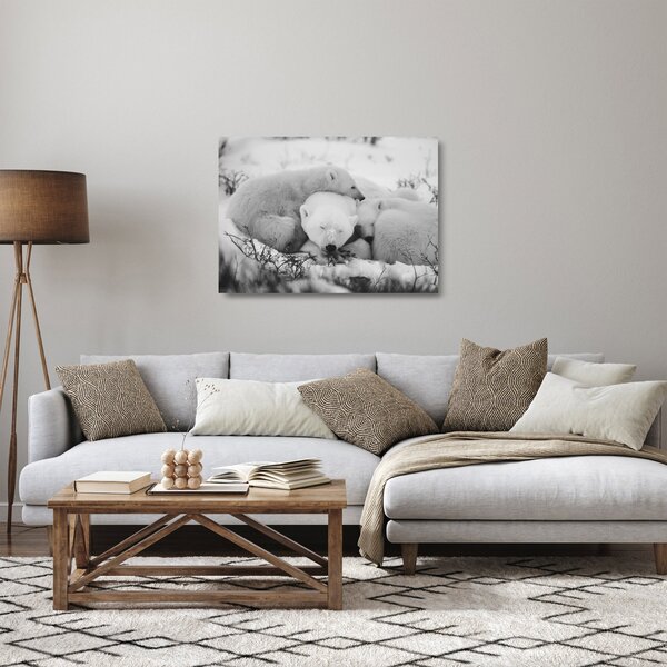 Staklena slika - Polarni medvjedi (70x50 cm)