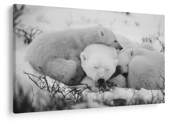 Slika - Polarni medvjedi (90x60 cm)