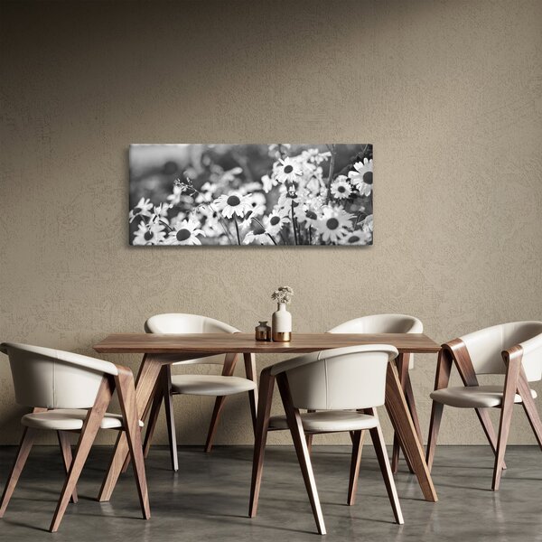 Slika - tratinčice (120x50 cm)