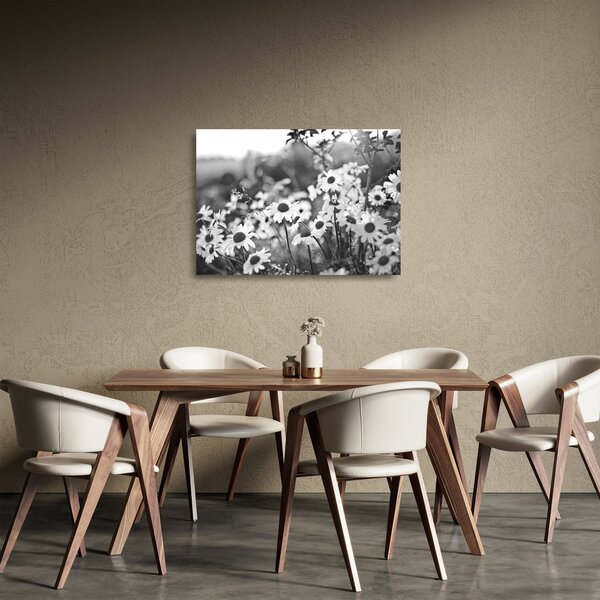 Staklena slika - tratinčice (70x50 cm)