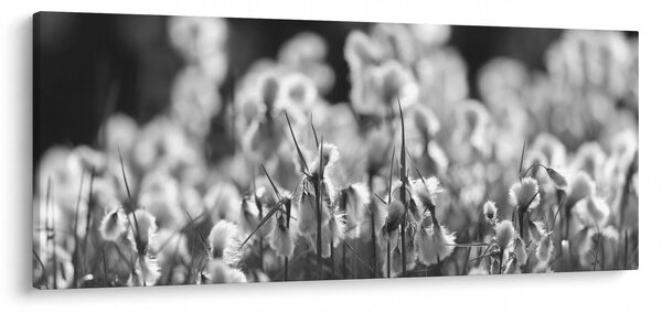 Slika - Ljetna livada (120x50 cm)