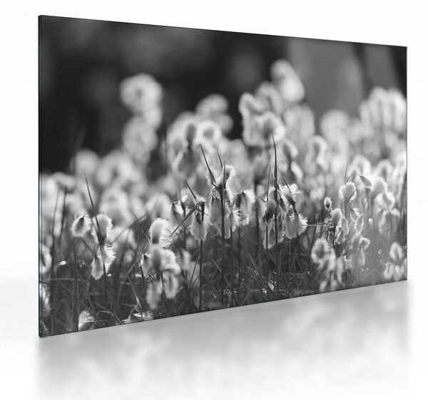 Staklena slika - Ljetna livada (70x50 cm)
