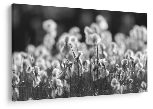 Slika - Ljetna livada (90x60 cm)