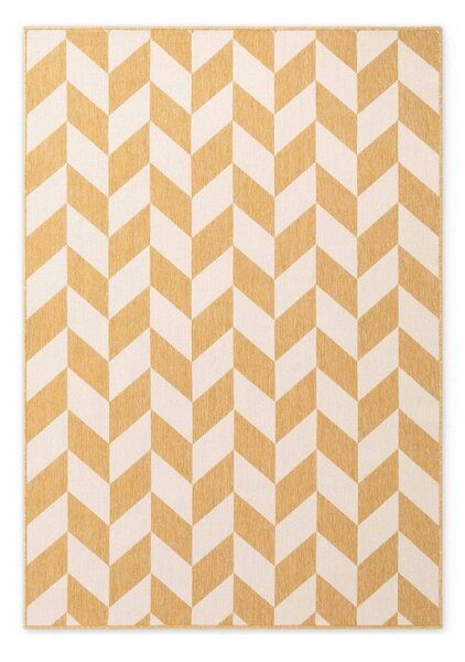 Oker žuti/krem unutarnji i vanjski tepih 200x300 cm Haringey Terrick – Ted Baker