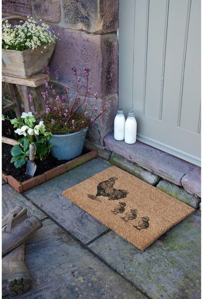 Otirač od kokosovih vlakana 40x60 cm Chickens and Chicks – Artsy Doormats