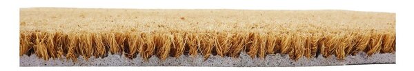 Otirač od kokosovih vlakana 40x60 cm Chickens and Chicks – Artsy Doormats