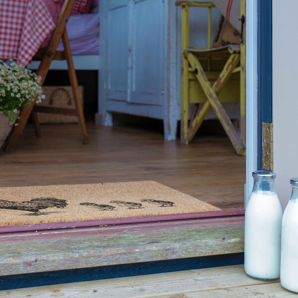 Otirač od kokosovih vlakana 40x60 cm Chickens and Chicks – Artsy Doormats