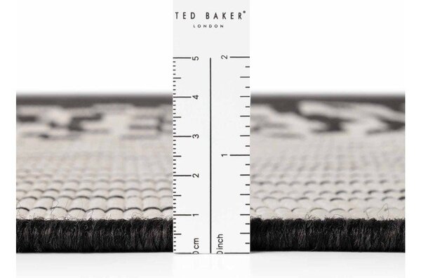 Crni/krem unutarnji i vanjski tepih 200x300 cm Haringey Acacia – Ted Baker
