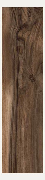 Rasprodaja pločica Fontana Living Noce 15X61 cm