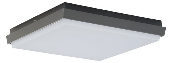 Vanjske Svjetiljka Lucande, Amra, Crno, Terasa, Plastika, Moderan