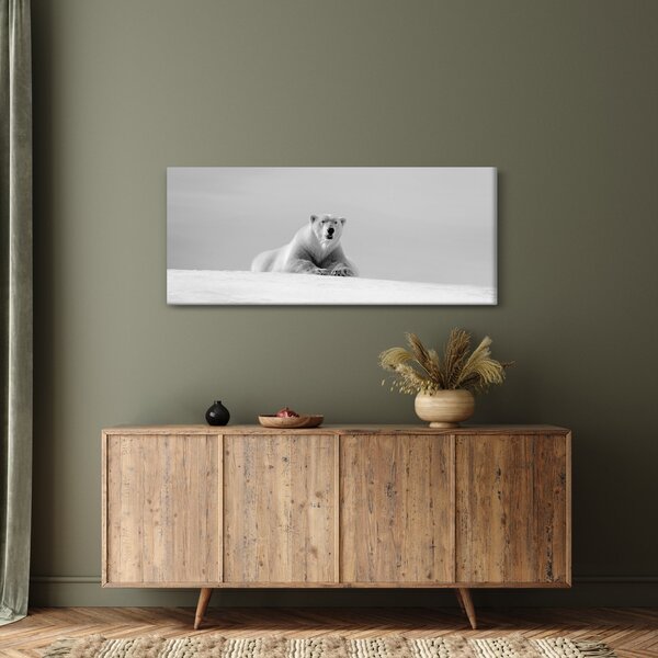 Slika - polarni medvjed (120x50 cm)