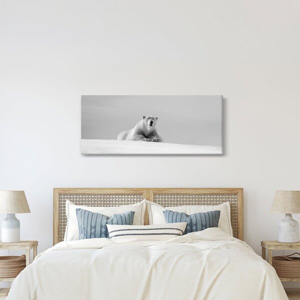 Slika - polarni medvjed (120x50 cm)