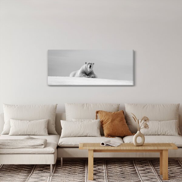 Slika - polarni medvjed (120x50 cm)