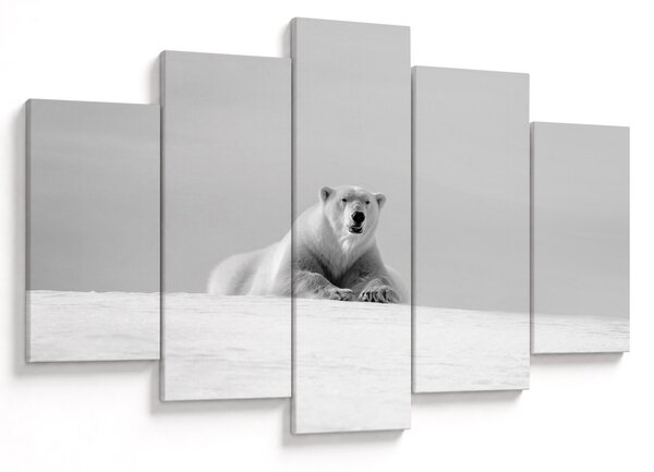 Slika - polarni medvjed (150x105 cm)