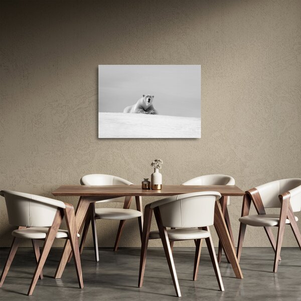 Staklena slika - polarni medvjed (70x50 cm)
