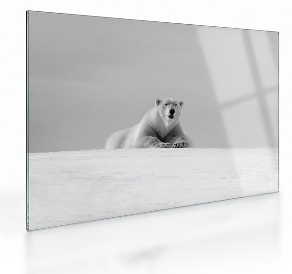 Staklena slika - polarni medvjed (70x50 cm)