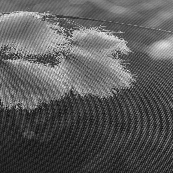 Slika - Cottongrass (sa satom) (90x30 cm)