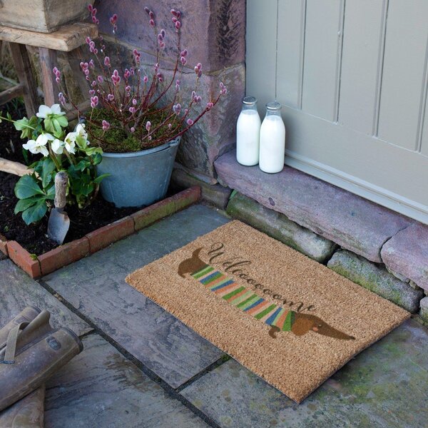 Otirač od kokosovih vlakana 40x60 cm Welcome Sausage Dog – Artsy Doormats